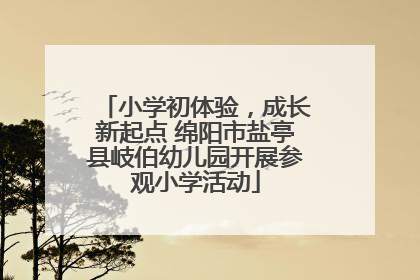 小学初体验，成长新起点 绵阳市盐亭县岐伯幼儿园开展参观小学活动